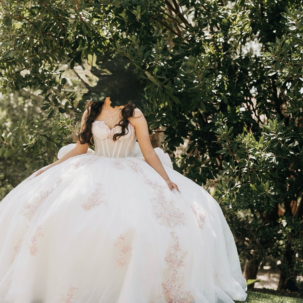 Elegant White Ball Gown Dress with Blush Embroidery
